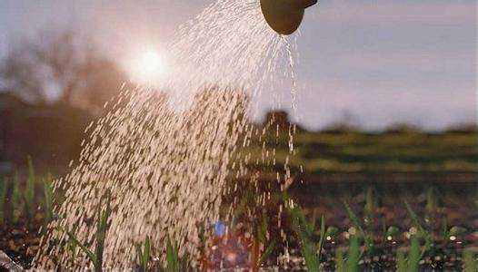 農業用消泡劑應用場景 農業用消泡劑應用場景